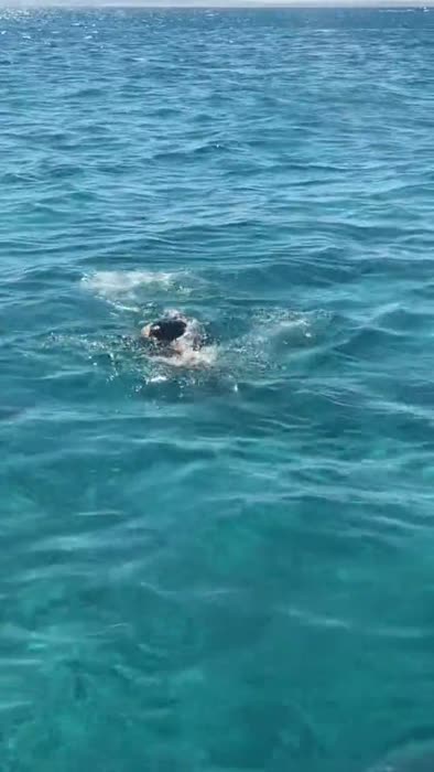 Xfibii German Teen – Xfibii Twitch Porn Videos